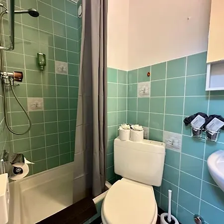 Daire Charming Flat For 2 Your Near Riederalp *